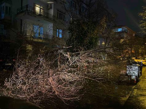 Ankarada fırtına nedeniyle ağaç devrildi Ajans Manisa